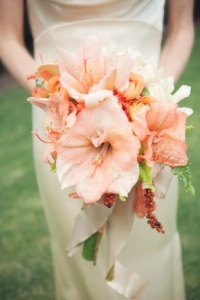 amaryllis bouquet